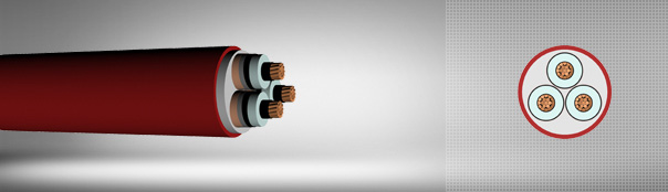 3.6/6 kV XLPE izoleli, üç damarlı, bakır iletkenli kablolar 3.6/6 kV XLPE izoleli, üç damarlı, bakır iletkenli kablolar