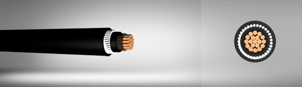 0.6/1 kV PVC izoleli, Yuvarlak çelik tel zırhlı, tek damarlı, bakır iletkenli kablolar