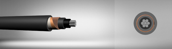 0.6/1 kV PVC izoleli, konsantrik iletkenli, tek damarlı, alüminyum iletkenli kablolar