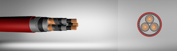 5.8/10 kV veya 6.35/11 kV XLPE izoleli, yuvarlak çelik tel zırhlı, üç damarlı, bakır iletkenli kablolar 5.8/10 kV veya 6.35/11 kV XLPE izoleli, yuvarlak çelik tel zırhlı, üç damarlı, bakır iletkenli kablolar