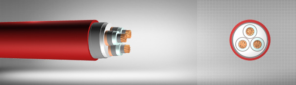 5.8/10 kV veya 6.35/11 kV XLPE izoleli, çift kat çelik bant zırhlı, üç damarlı, bakır iletkenli kablolar 5.8/10 kV veya 6.35/11 kV XLPE izoleli, çift kat çelik bant zırhlı, üç damarlı, bakır iletkenli kablolar
