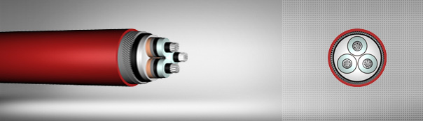 5.8/10 kV XLPE izoleli, yuvarlak çelik tel zırhlı, üç damarlı, alüminyum iletkenli kablolar