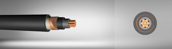 0.6/1 kV XLPE izoleli, konsantrik iletkenli, tek damarlı, bakır iletkenli kablolar 0.6/1 kV XLPE izoleli, konsantrik iletkenli, tek damarlı, bakır iletkenli kablolar