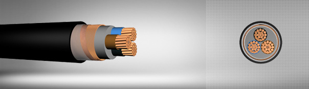 0.6/1 kV XLPE izoleli, konsantrik iletkenli, çok damarlı, bakır iletkenli kablolar 0.6/1 kV XLPE izoleli, konsantrik iletkenli, çok damarlı, bakır iletkenli kablolar