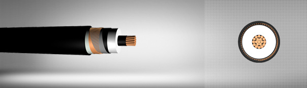 5.8/10 kV veya 6.35/11 kV XLPE izoleli, tek damarlı, boylamasına su geçirmez, bakır iletkenli kablolar
