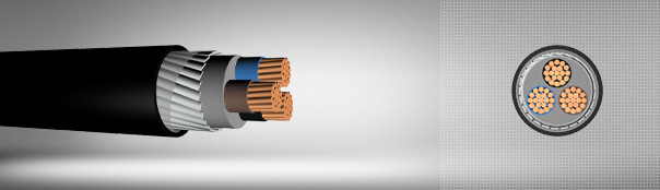 0.6/1 kV XLPE izoleli, yassı çelik tel zırhlı, çok damarlı, bakır iletkenli kablolar 0.6/1 kV XLPE izoleli, yassı çelik tel zırhlı, çok damarlı, bakır iletkenli kablolar