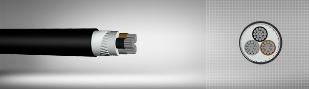 0.6/1 kV XLPE İzoleli, Yassı Çelik Tel Zırhlı, Çok Damarlı, Alüminyum İletkenli Kablolar 0.6/1 kV XLPE İzoleli, Yassı Çelik Tel Zırhlı, Çok Damarlı, Alüminyum İletkenli Kablolar