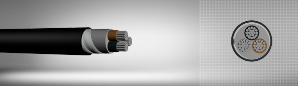 0.6/1 kV XLPE izoleli, çift kat çelik bant zırhlı çok damarlı, alüminyum iletkenli kablolar