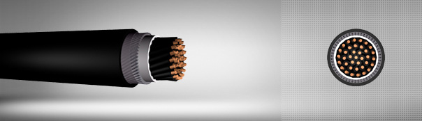 0.6/1 kV PVC izoleli, yuvarlak çelik tel zırhlı, bakır iletkenli kumanda kabloları