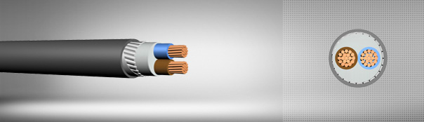 0.6/1 kV PVC izoleli, yassı çelik tel zırhlı, çok damarlı, bakır iletkenli kablolar